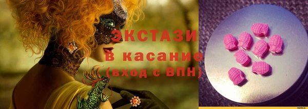 СК Новодвинск