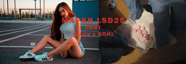 СК Новодвинск