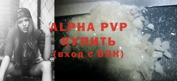 СК Новодвинск