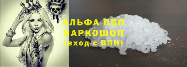 СК Новодвинск