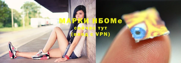СК Новодвинск