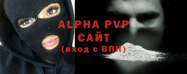 СК Новодвинск