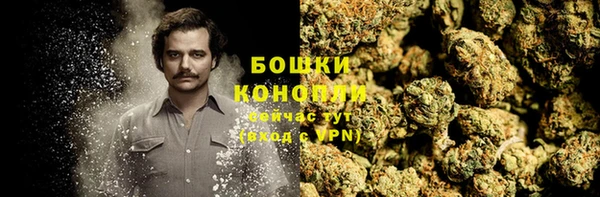 СК Новодвинск