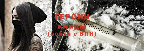 СК Новодвинск