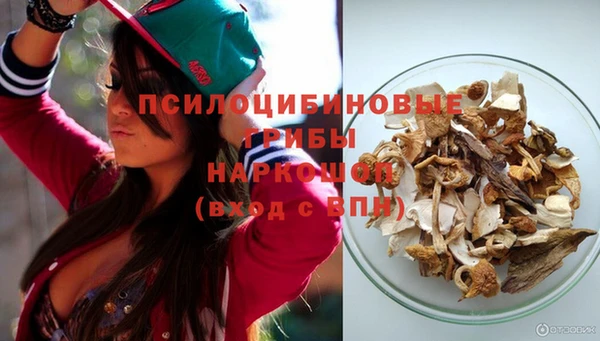 СК Новодвинск