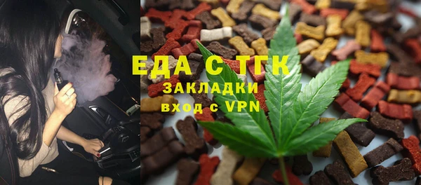 СК Новодвинск