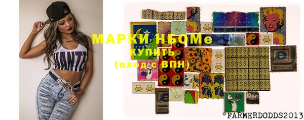 СК Новодвинск