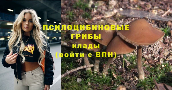гашиш Новокубанск