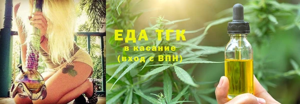 СК Новодвинск