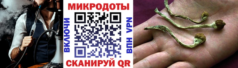 гидра рабочий сайт  Безенчук  Галлюциногенные грибы Cubensis 